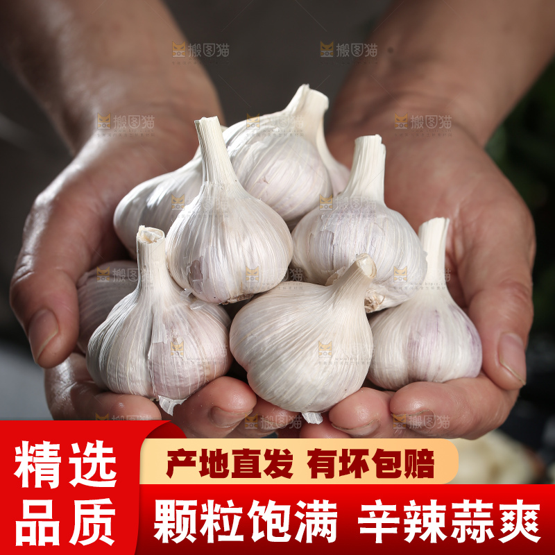 干大蒜