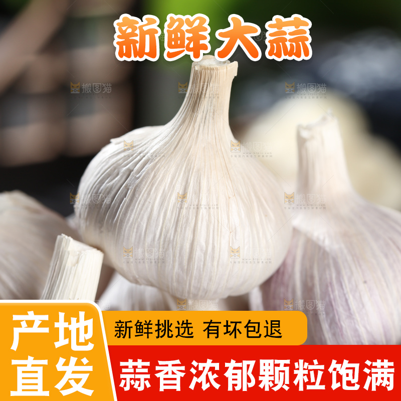 干大蒜