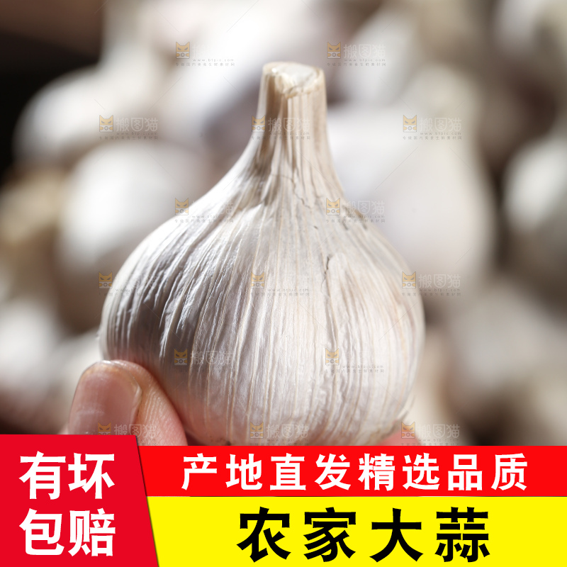 干大蒜