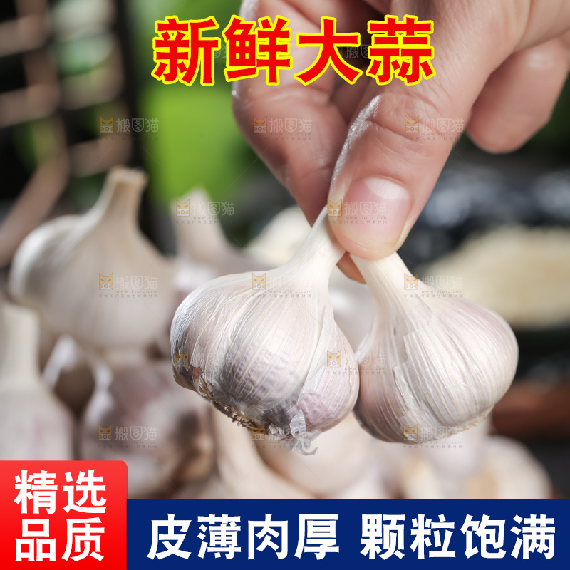 干大蒜