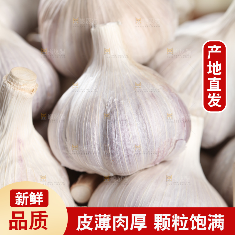 干大蒜