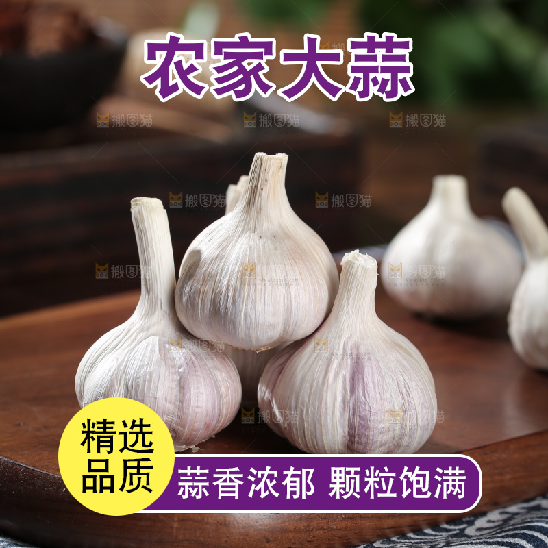 干大蒜