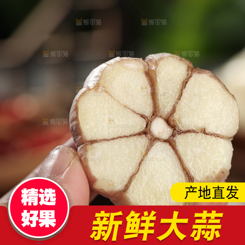 干大蒜