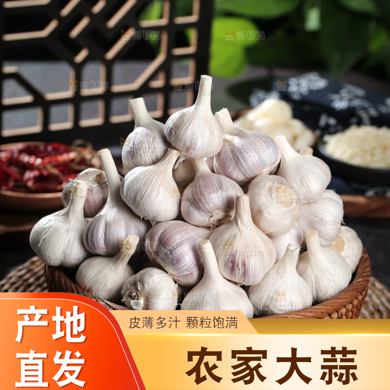 干大蒜