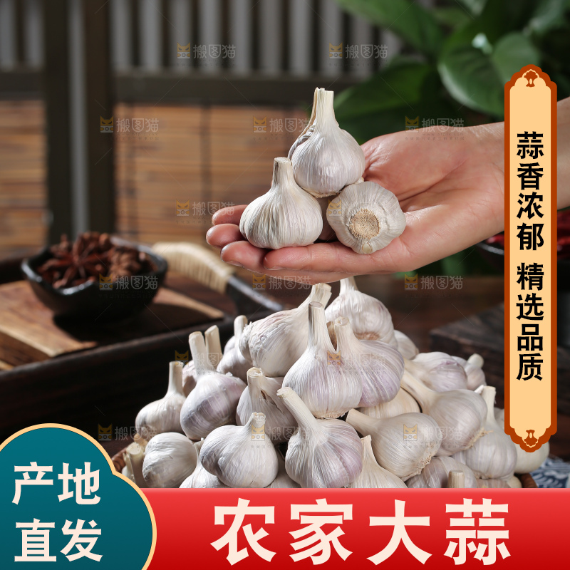 干大蒜