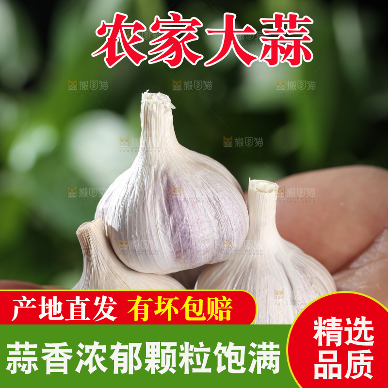 干大蒜