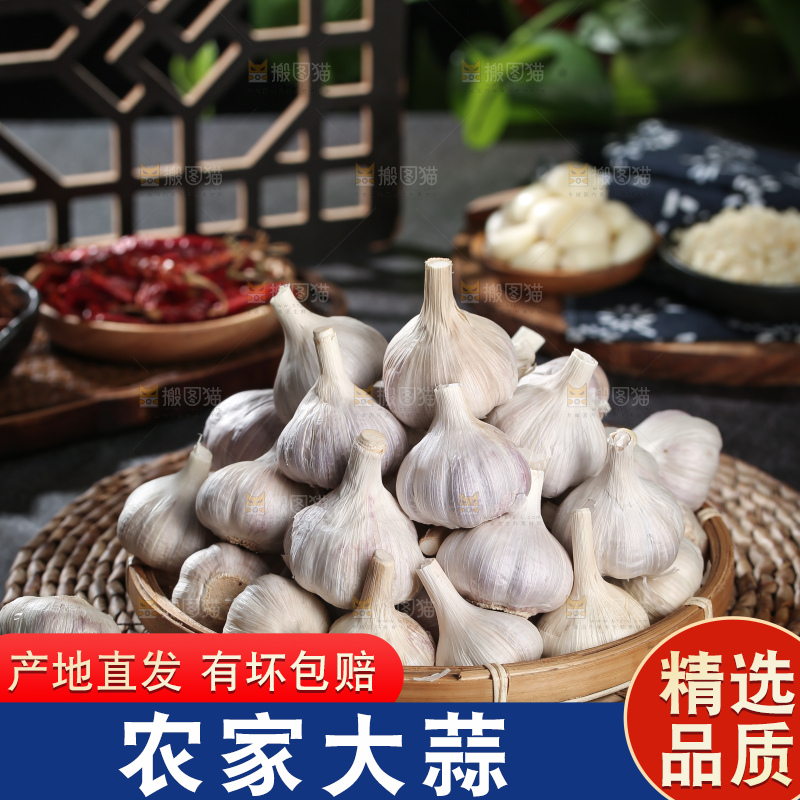 干大蒜