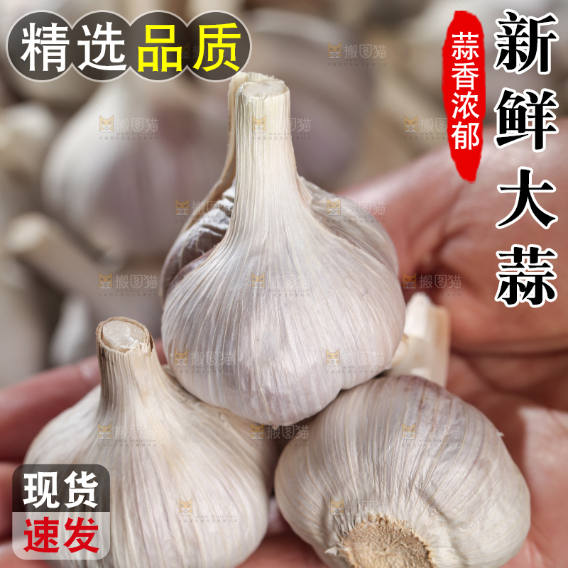 干大蒜
