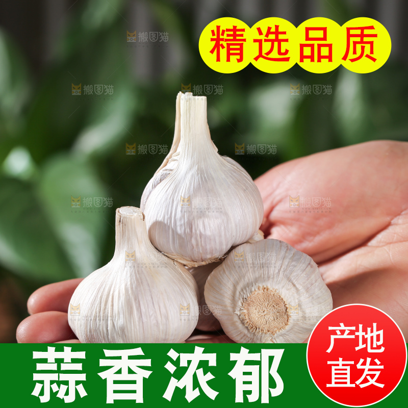 干大蒜