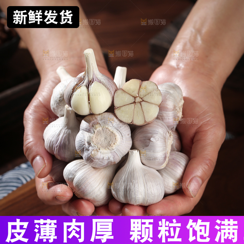 干大蒜