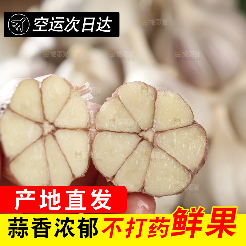 干大蒜