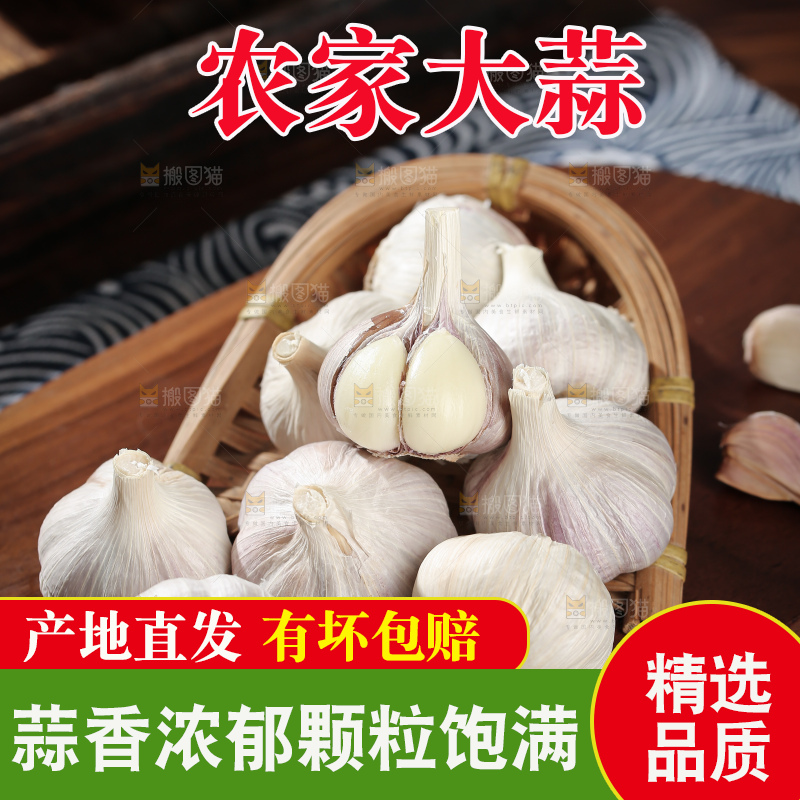干大蒜