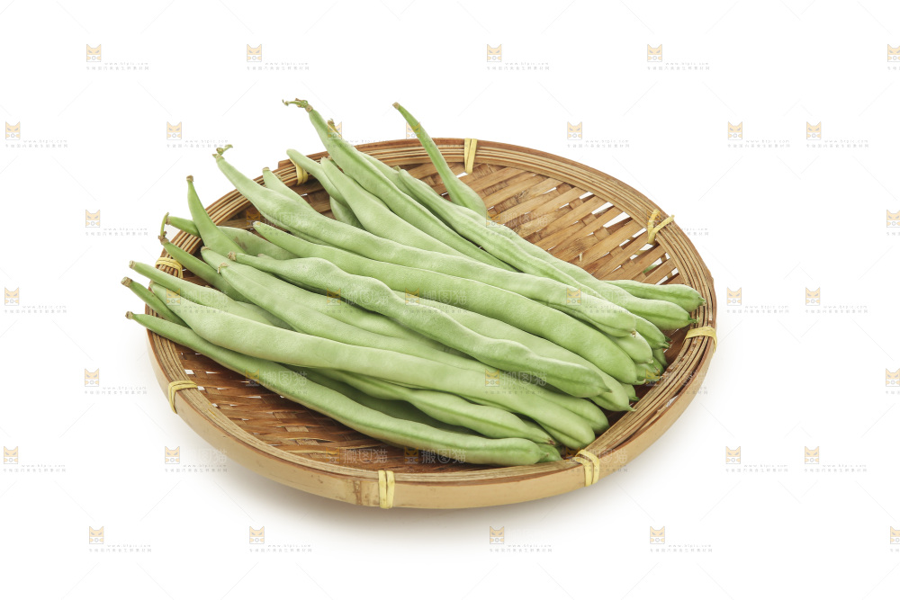 四季豆