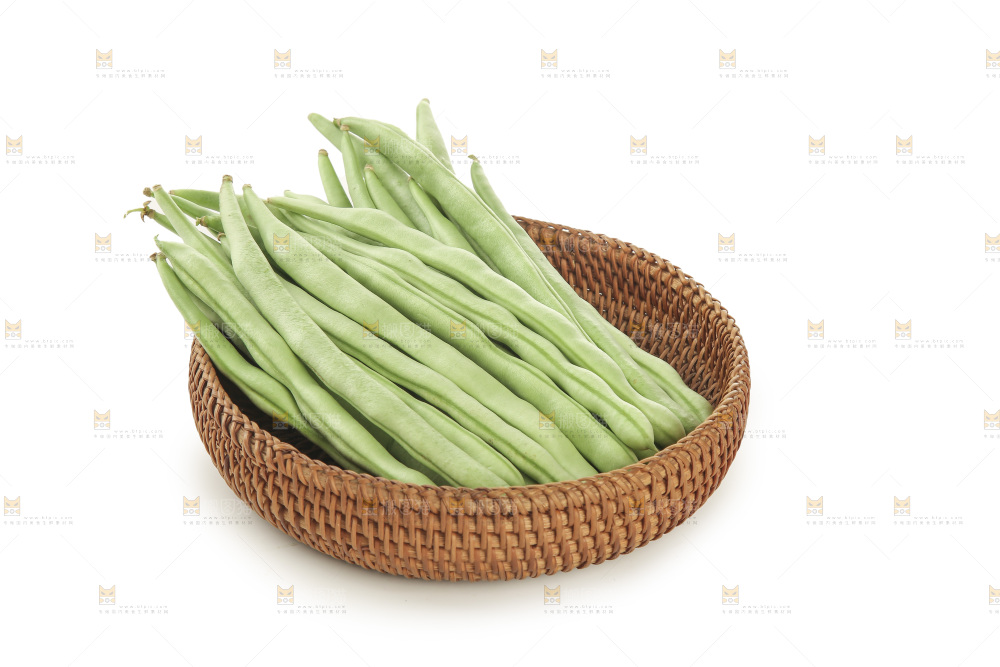 四季豆