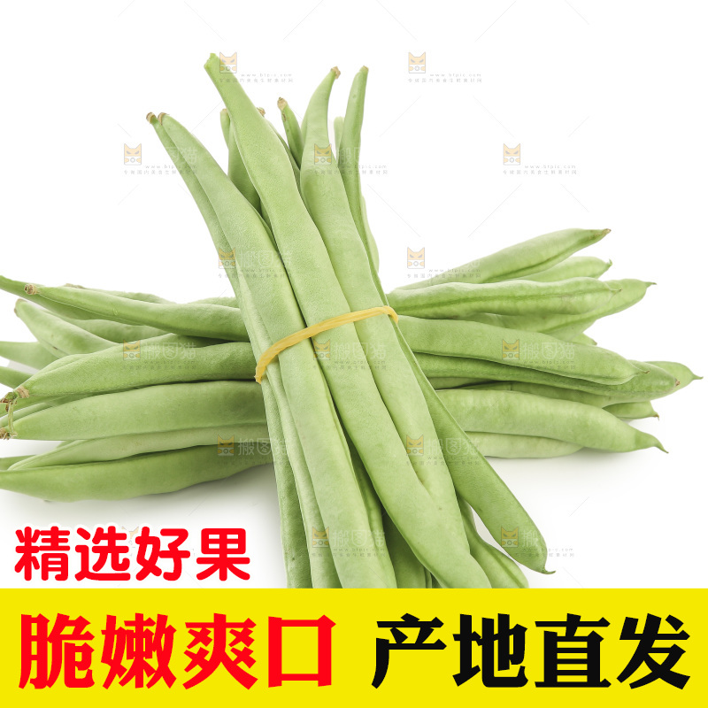 四季豆