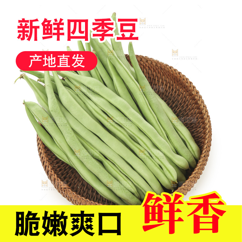 四季豆