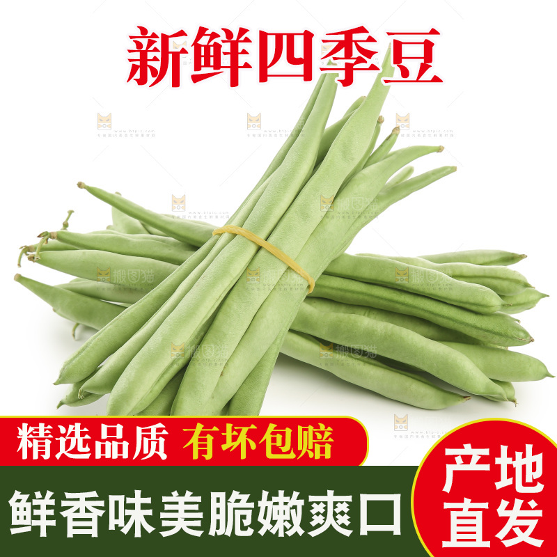四季豆