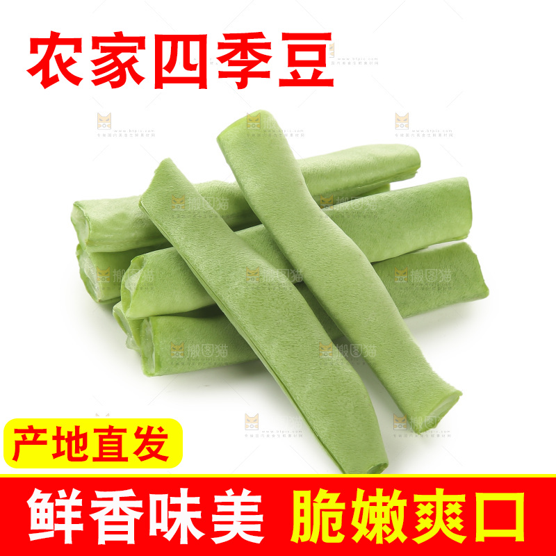 四季豆