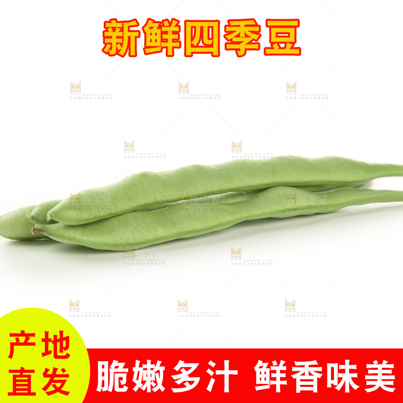 四季豆