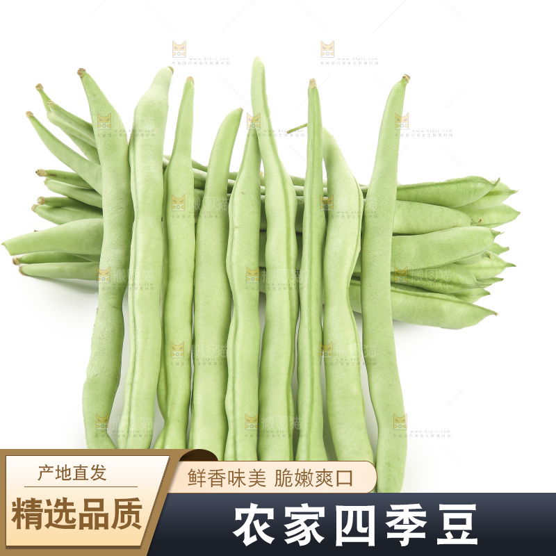 四季豆