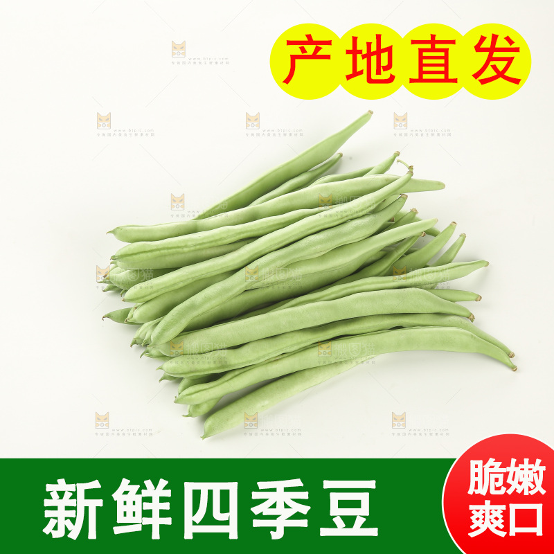 四季豆
