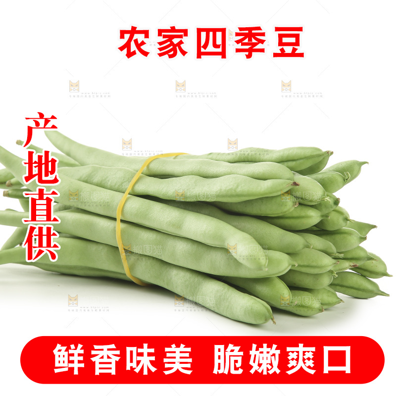 四季豆
