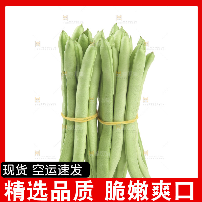 四季豆