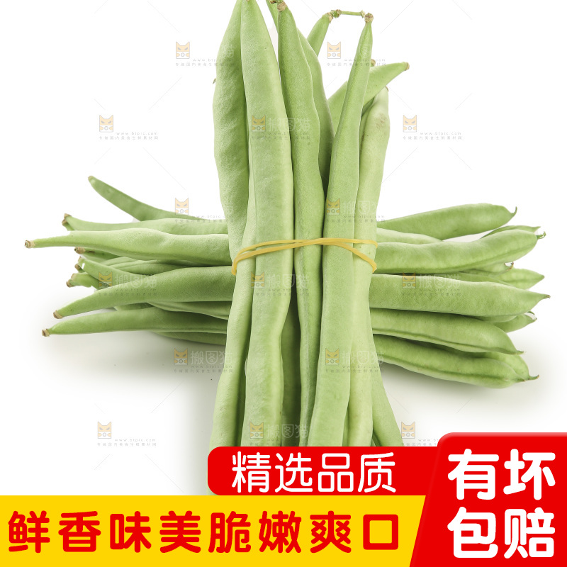 四季豆