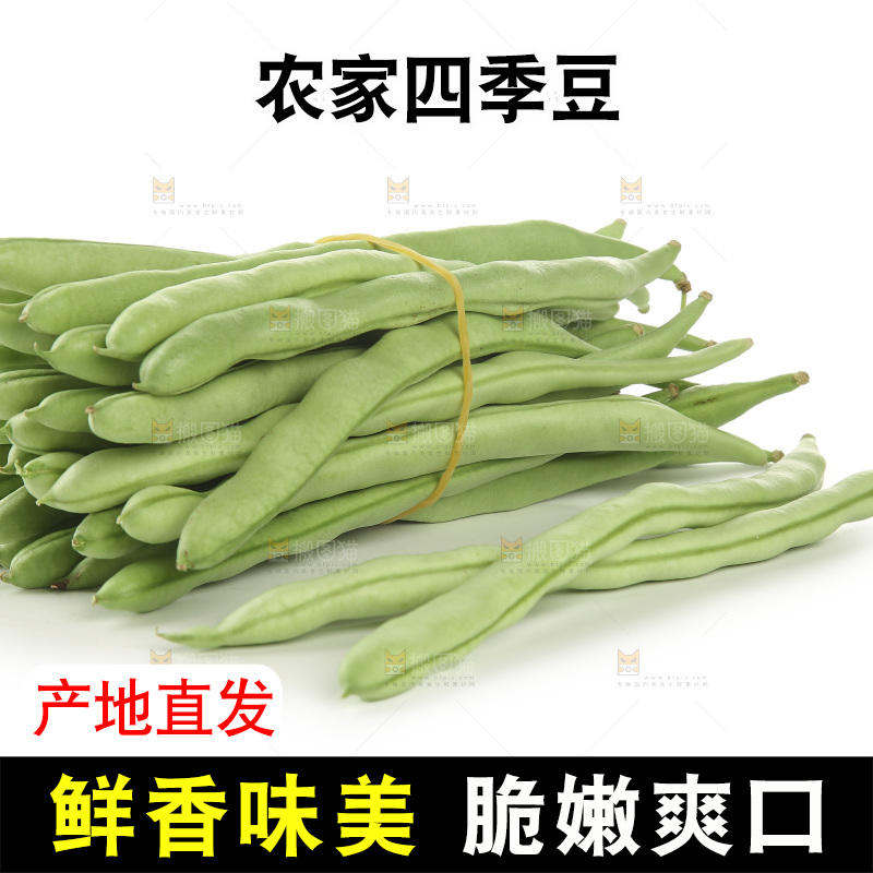 四季豆