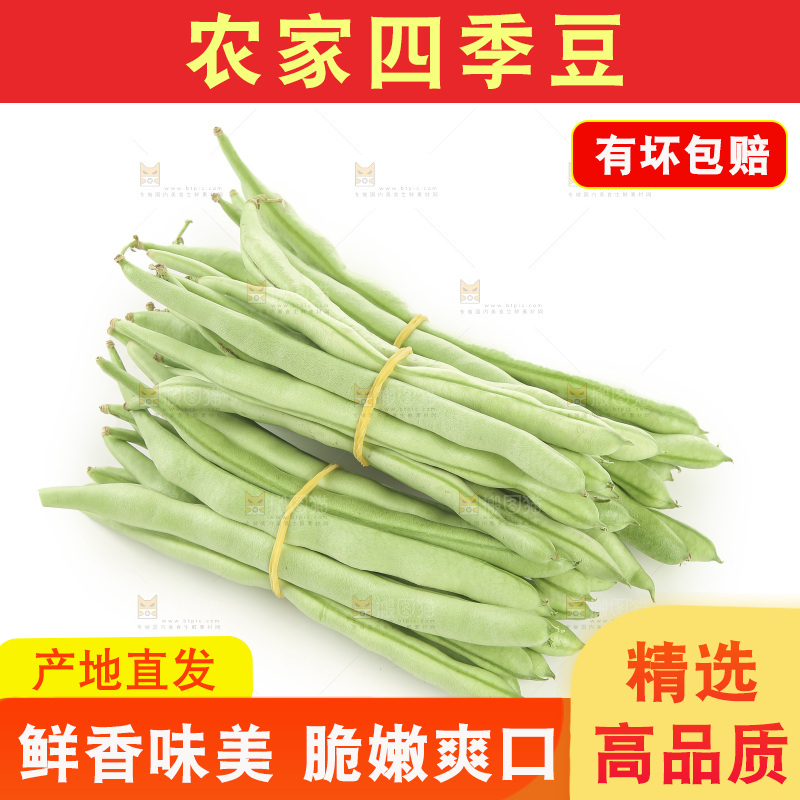 四季豆