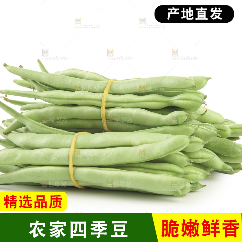 四季豆