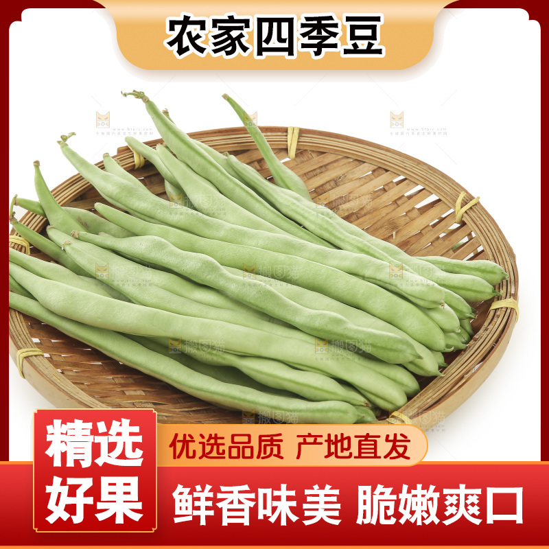 四季豆