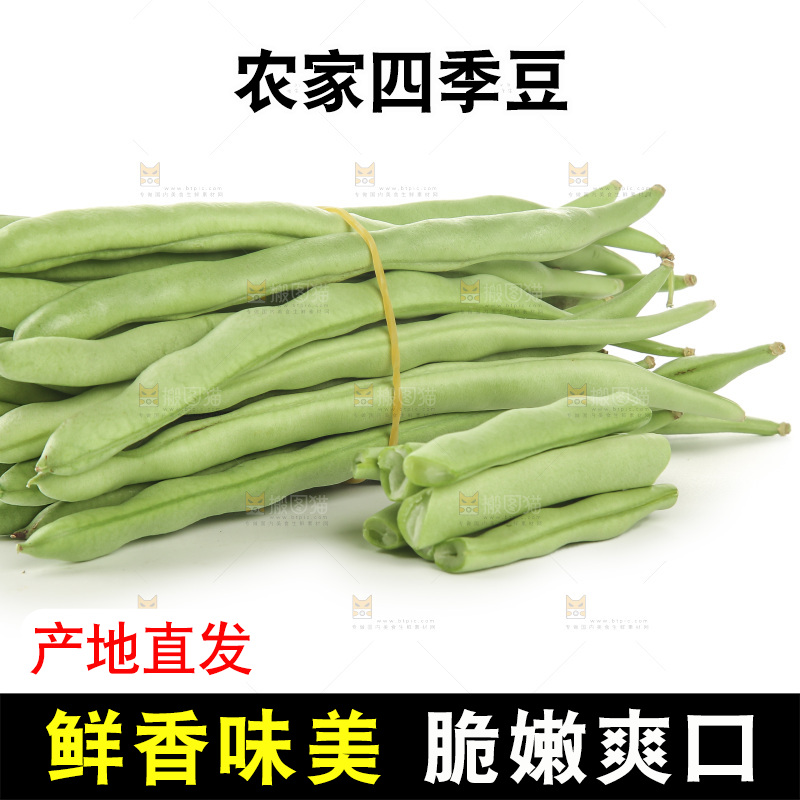 四季豆