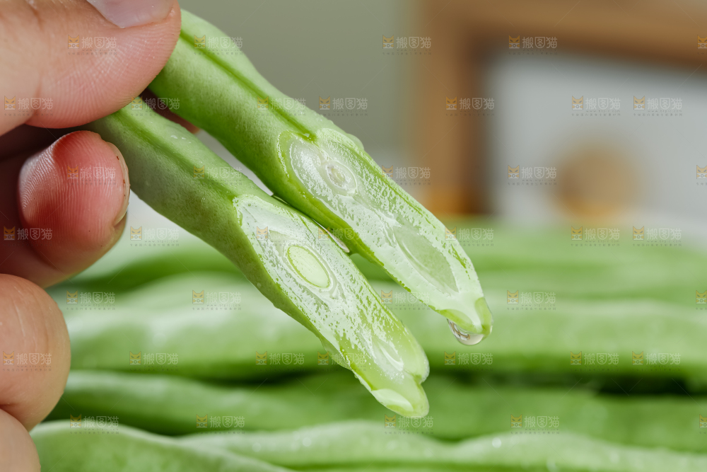 四季豆