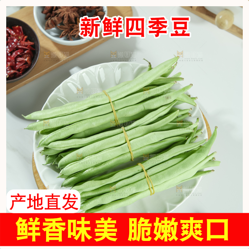 四季豆