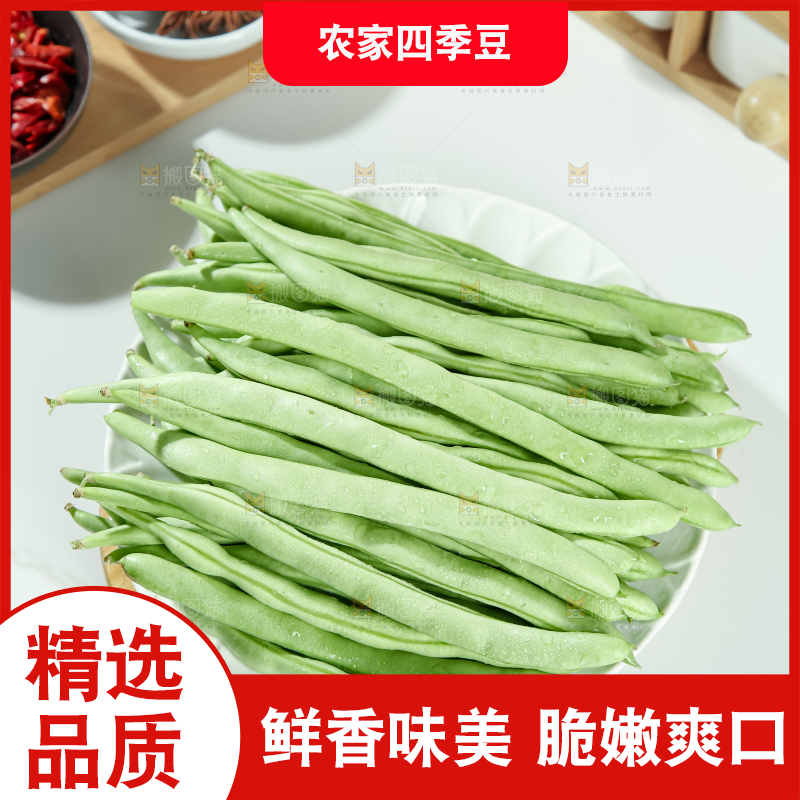 四季豆
