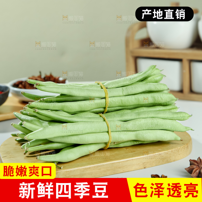四季豆