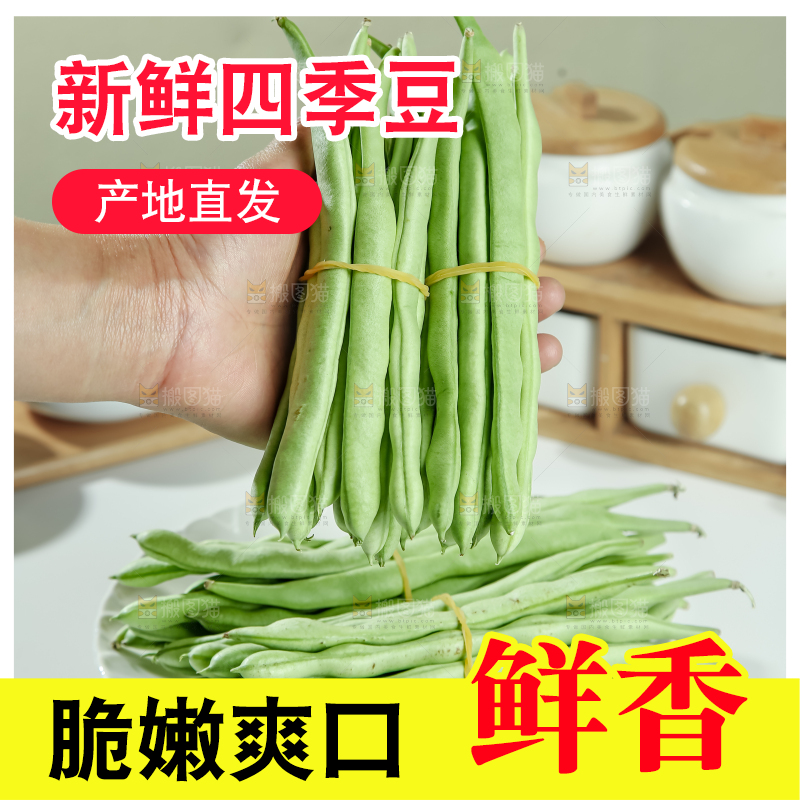 四季豆