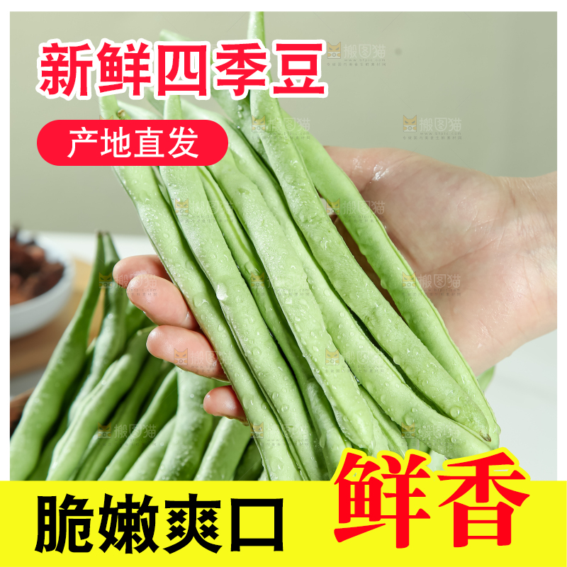 四季豆