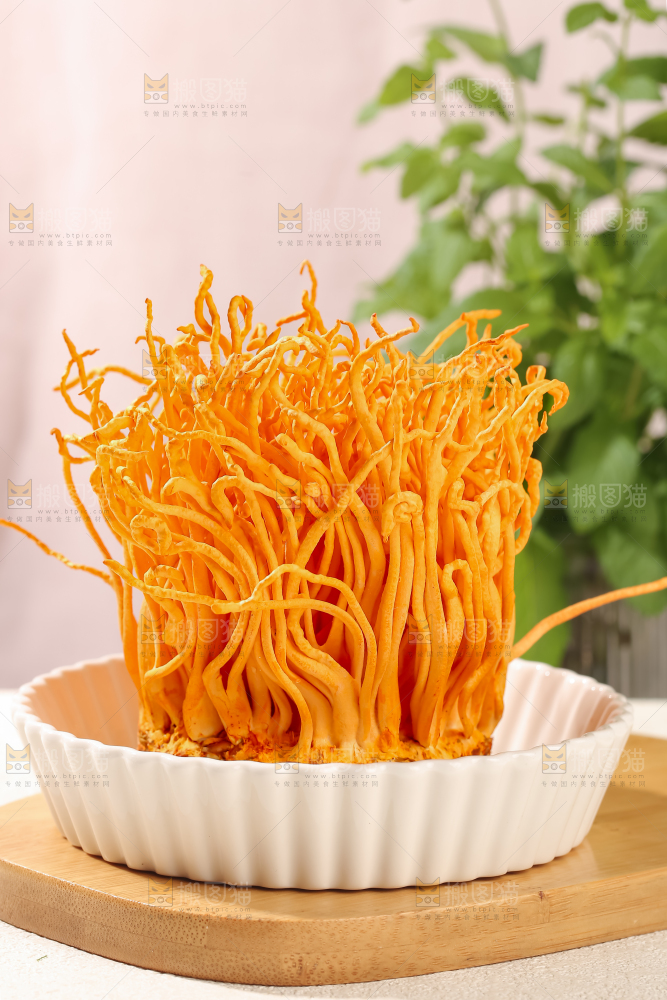 虫草花