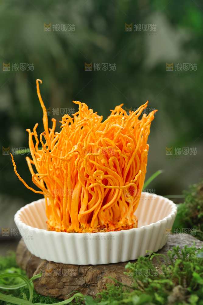 虫草花