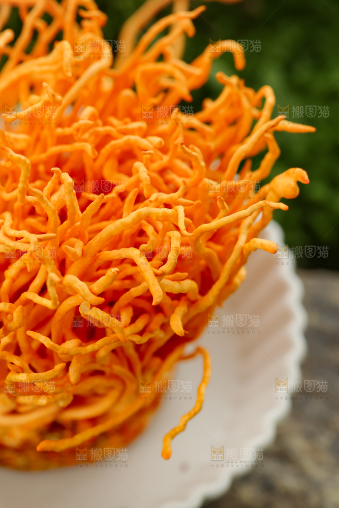 虫草花