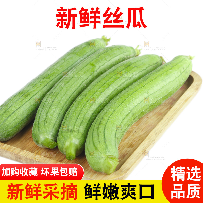 丝瓜