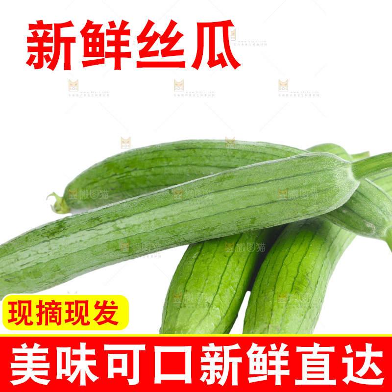丝瓜