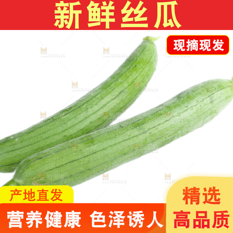 丝瓜