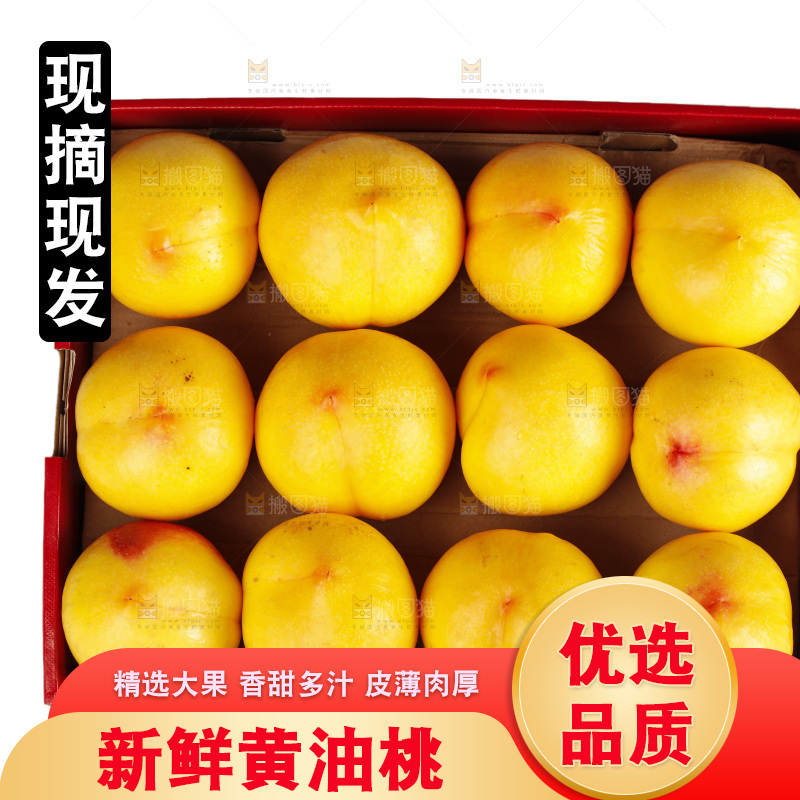 黄油桃