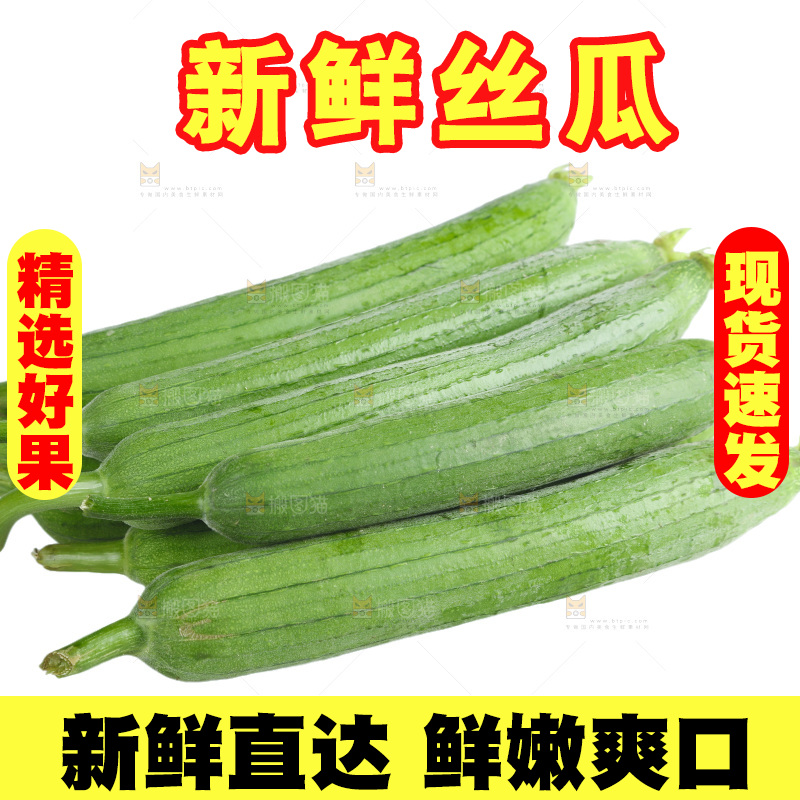 丝瓜