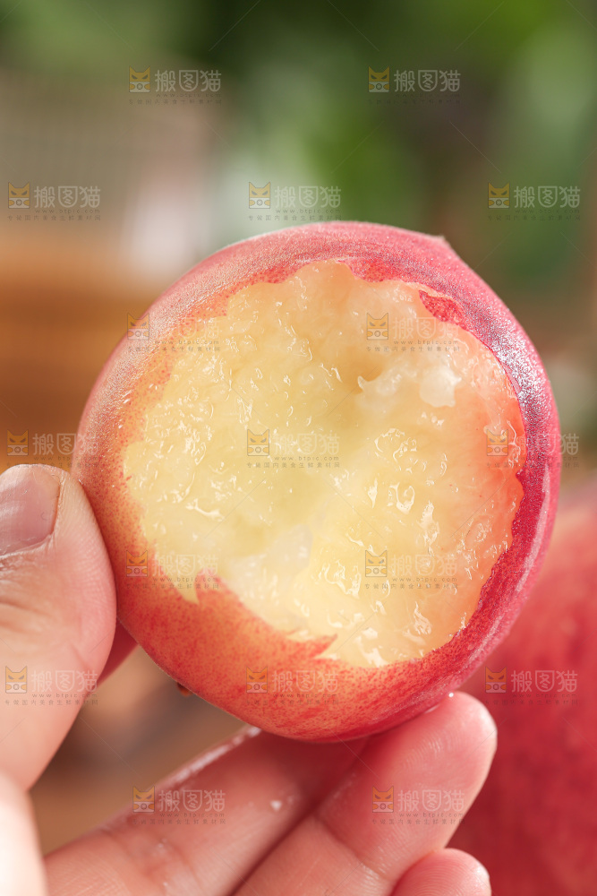 毛桃