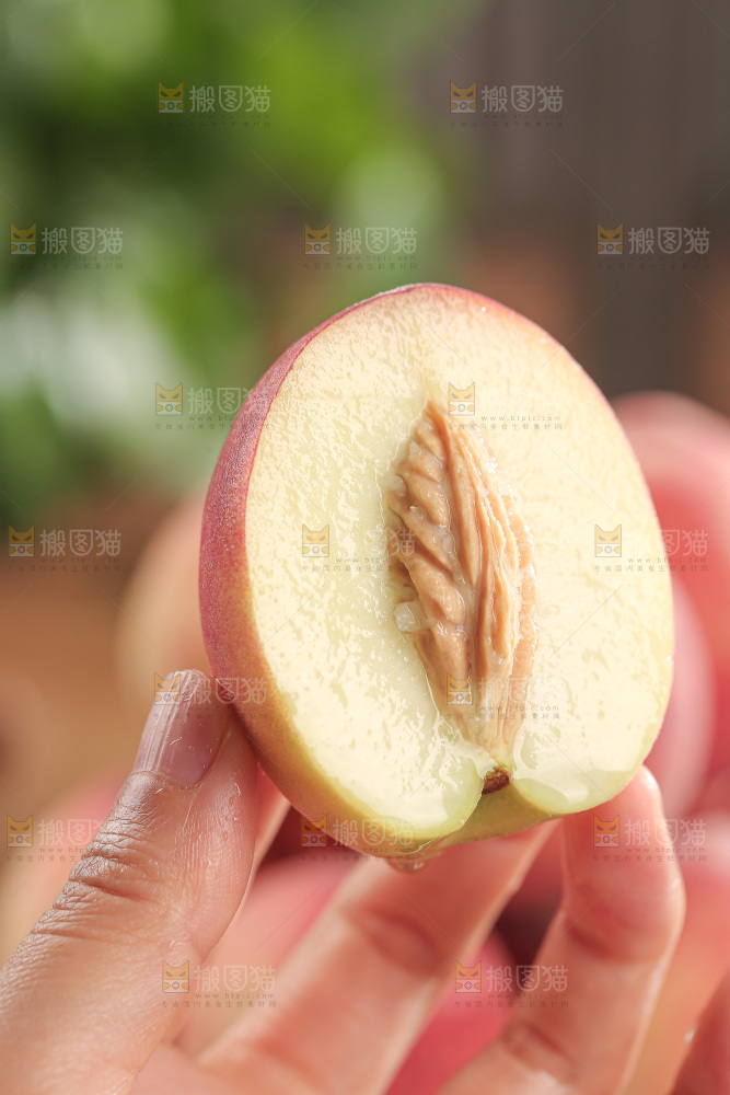 毛桃