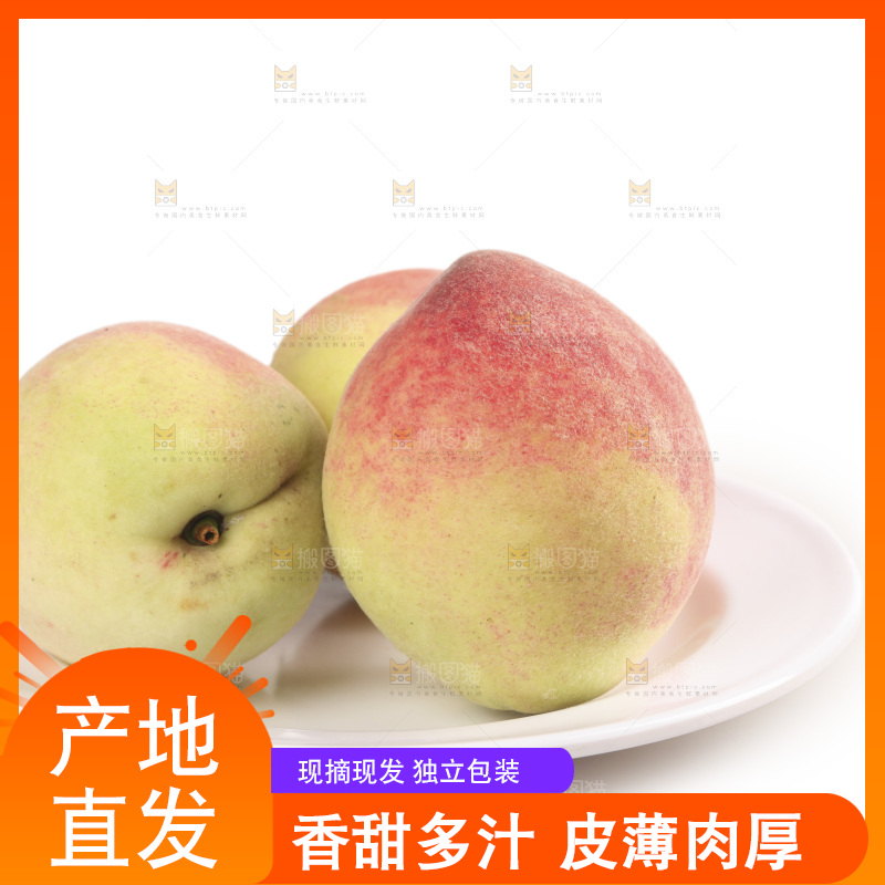 毛桃